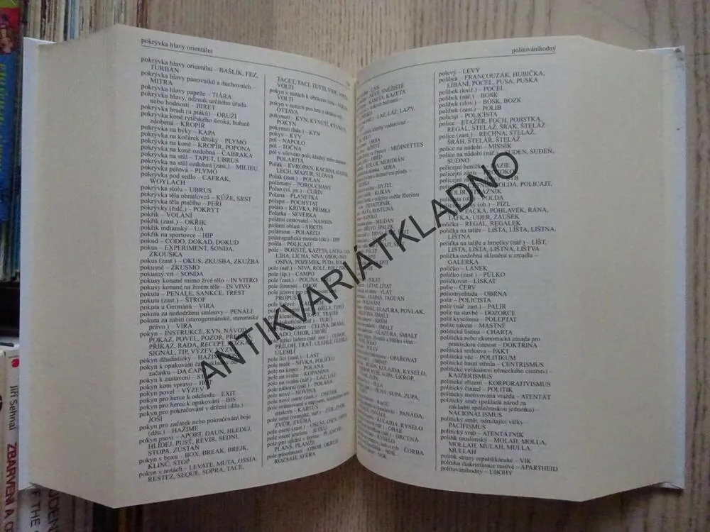 KŘÍŽOVKÁŘSKÝ SLOVNÍK, KŘÍŽOVKY, **an
