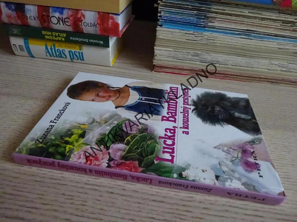 LUCKA, BAMBULÍN A KOUZELNÝ PRSTÝNEK, ZUZANA FRANCKOVÁ, **an