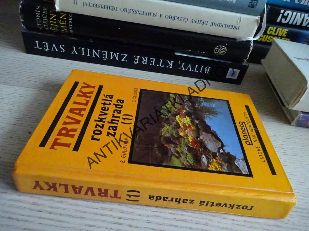 TRVALKY, ROZKVETLÁ ZAHRADA, GOLOVKIN, KLIKOVÁ, **an