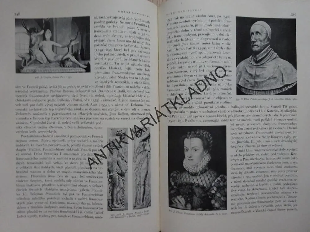 DĚJINY UMĚNÍ V OBRYSECH, ANTONÍN MATĚJČEK, **an