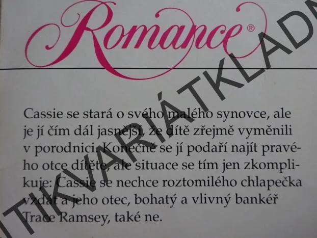 VŠECHNO NEBO NIC, REBECCA WINTERSOVÁ, **an