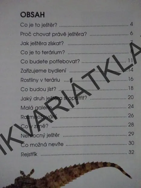 BYDLÍ S NÁMI JEŠTĚR, MICHAEL FOKTA, **an