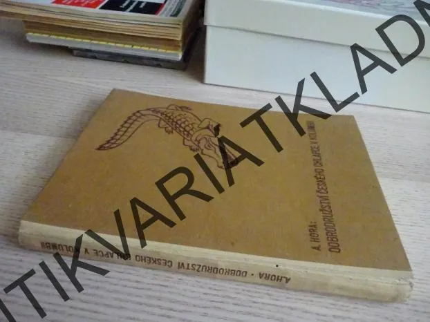 DOBRODRUŽSTVÍ ČESKÉHO CHLAPCE V KOLUMBII, A. HORA, **an