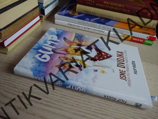GUMP, JSME DVOJKA, FILIP ROŽEK, **an