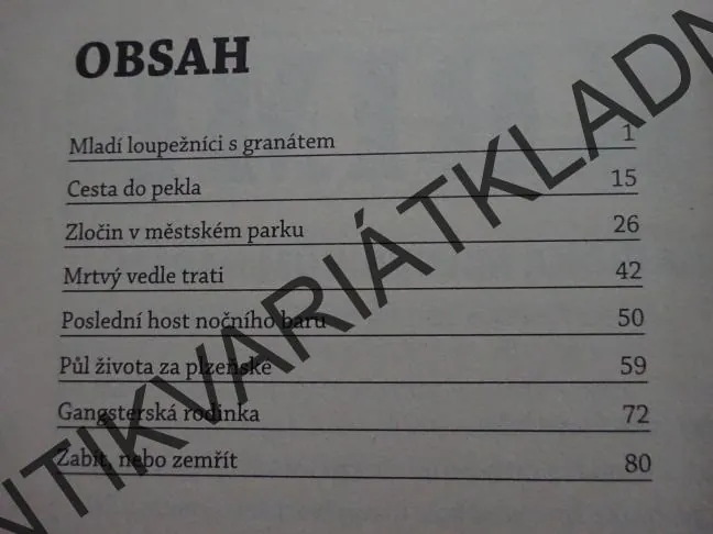 POSLEDNÍ HOST NOČNÍHO BARU AJ. SKUTEČNÉ PŘÍBĚHY, 4/2020, **an
