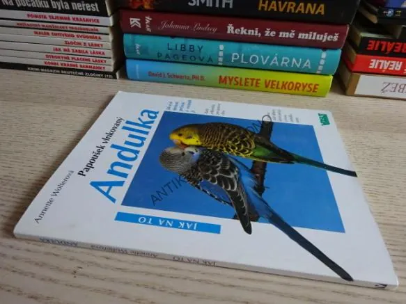 ANDULKA, PAPOUŠEK VLNKOVANÝ, ANNETTE WOLTEROVÁ, **an