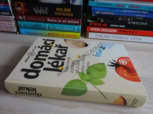 DOMÁCÍ LÉKAŘ, **an