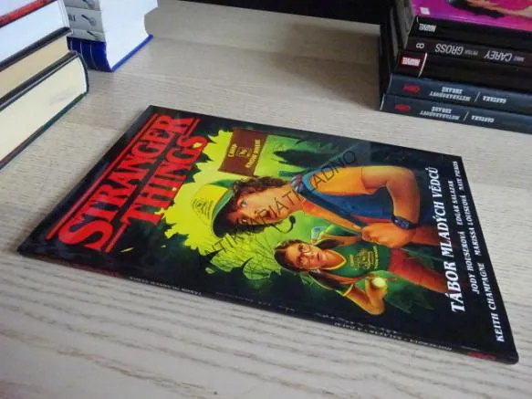 STRANGER THINGS, TÁBOR MLADÝCH VĚDCŮ, **an