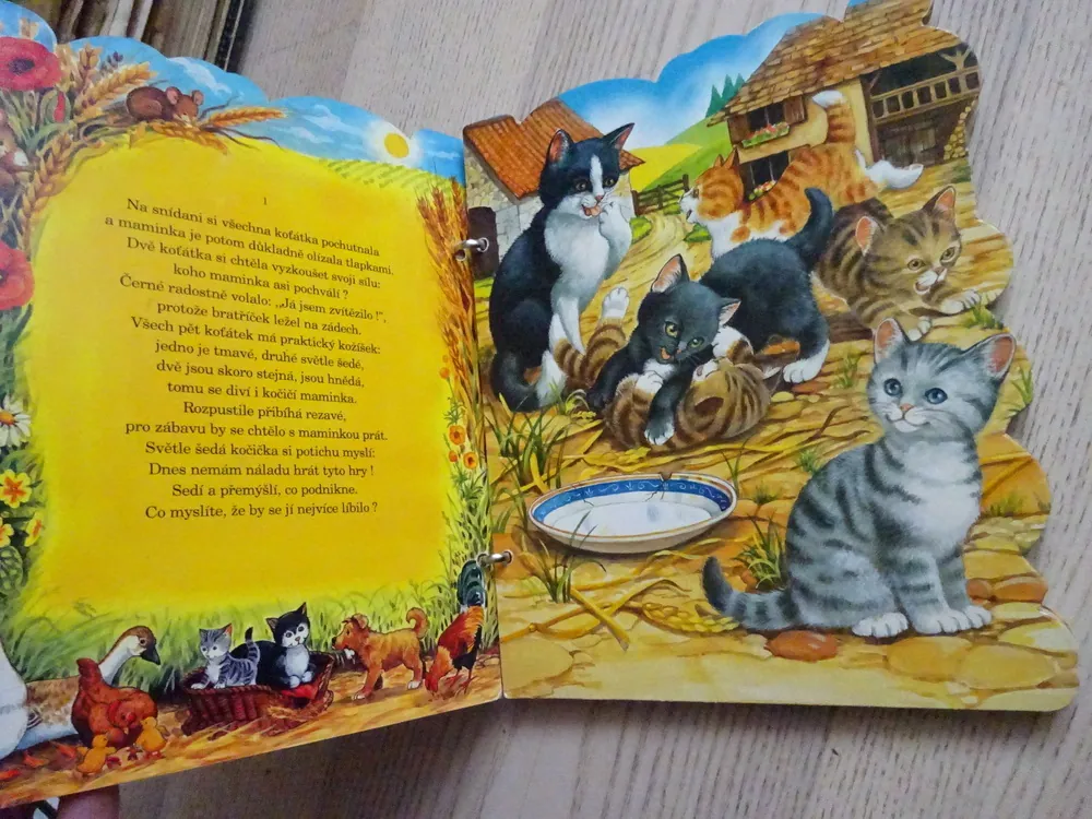 DOBRODRUŽSTVÍ KOČIČKY, **an