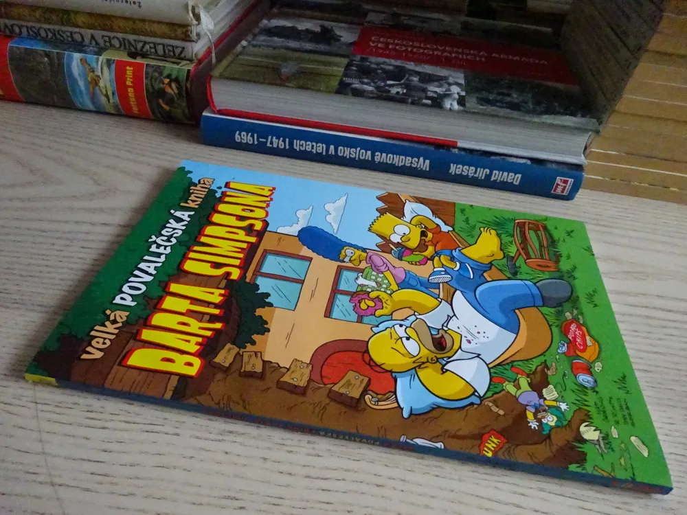 SIMPSONOVI, VELKÁ POVALEČSKÁ KNIHA BARTA SIMPSONA, **an