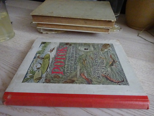 POTOK, JOS. HAIS TÝNECKÝ, O. ŠTÁFL, 1923, **an