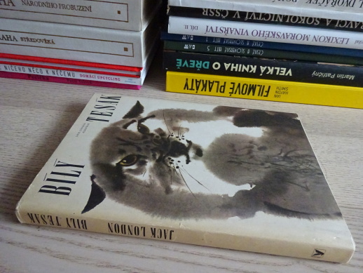 BÍLÝ TESÁK, JACK LONDON, **an