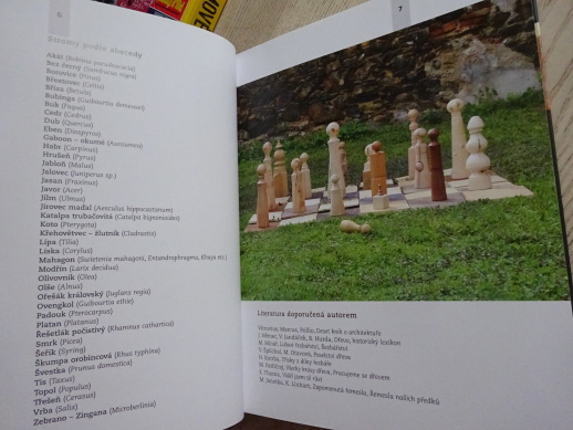 VELKÁ KNIHA O DŘEVĚ, MARTIN PATŘIČNÝ, ŘEZBÁŘSTVÍ, **an