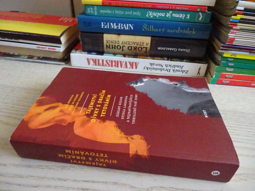 TAJEMSTVÍ DÍVKY S DRAČÍM TETOVÁNÍM, BURSTEIN, KEIJZER, HOLMBERG, **an
