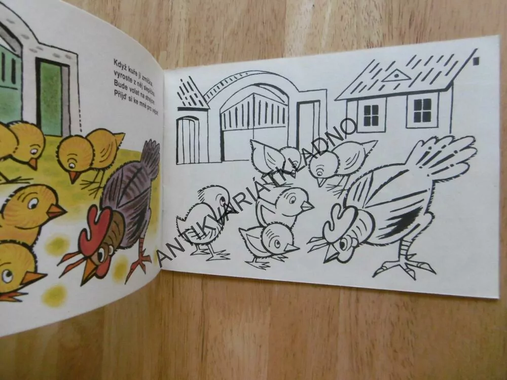 U RYBNÍKA A V RÁKOSÍ, KOLÁŘOVÁ, ŠKODA,