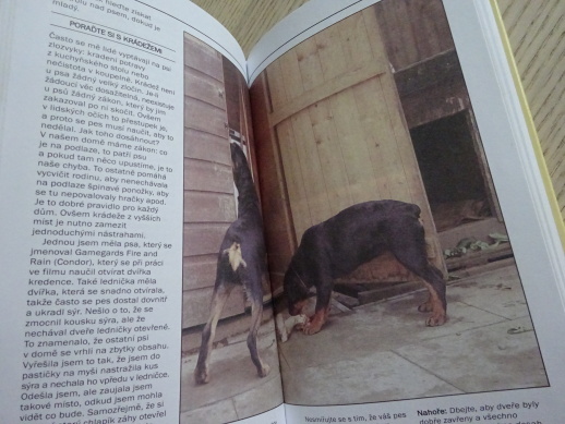 ROTVAJLER, JOAN BLACKMOREOVÁ, **an