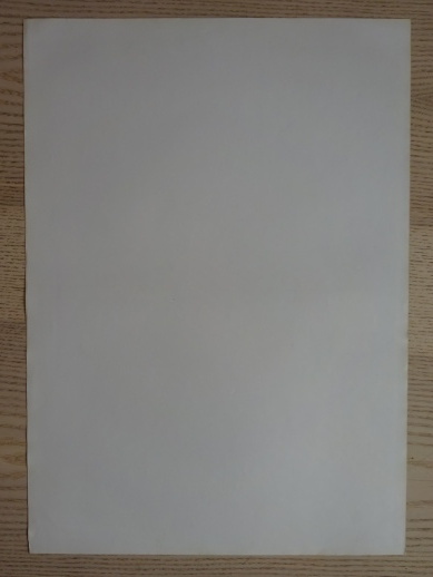 KRÁSNÁ MIMOZEMŠŤANKA, PLAKÁT