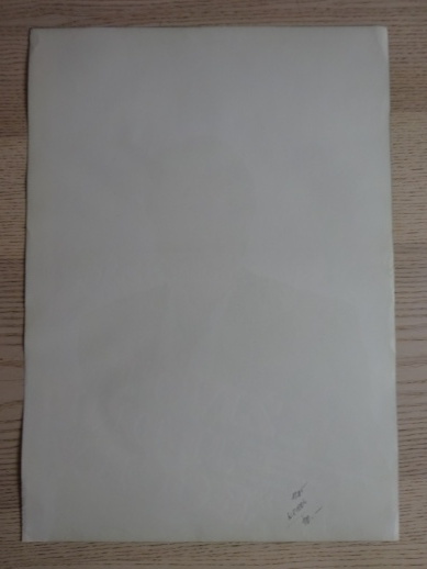 ŽIVOT JEDNÉ KOČKY, PLAKÁT