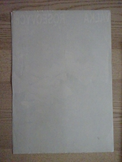 VÁLKA ROSEOVÝCH, FILM USA, R: DE VITO, H: TURNER, DOUGLAS, PL: WEBER, PLAKÁT 362