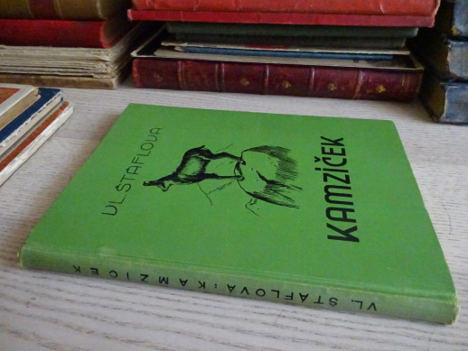 KAMZÍČEK, V. ŠTÁFLOVÁ, **an