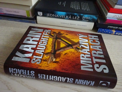 MRAZIVÝ STRACH, KARIN SLAUGHTER, **an