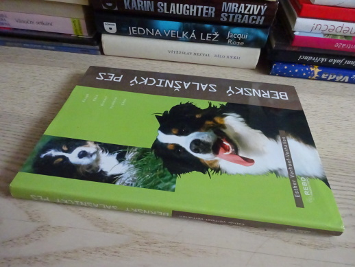 BERNSKÝ SALAŠNICKÝ PES, ESTHER VERHOEF-VERHALLEN, **an