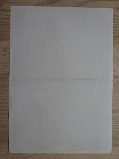 PODNIKAVÁ DÍVKA, PLAKÁT 13