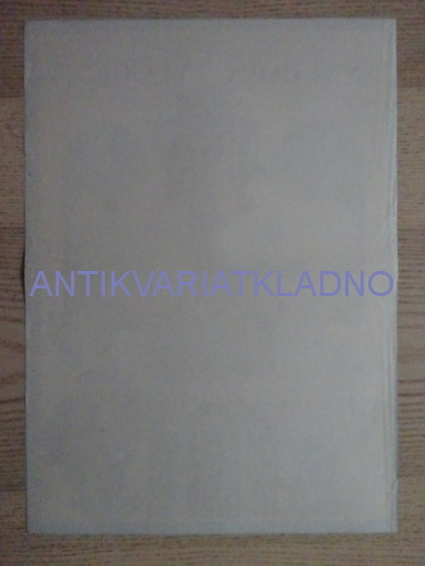SNĚHOVÁ VLOČKA, FILM SSSR, R: RYCAREV, PLAKÁT 216
