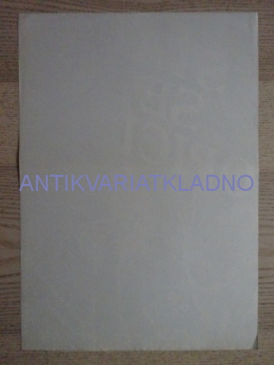 STÁT SE OPICÍ, FILM USA, R: KRONSBERG, H: DANZA, NELKIN, DE VITO, PLAKÁT 239