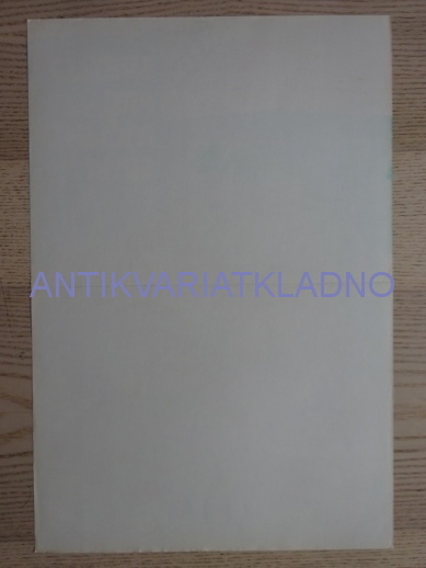 SVETLO PRE MOJHO SYNA, FILM IT, R: PONZI, H: LOREN, PONTI, PL: NOVÁKOVÁ, PLAKÁT 259