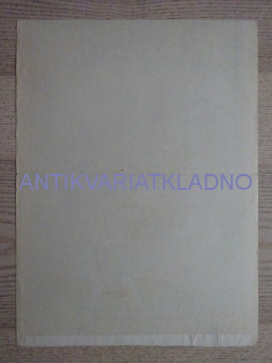 TROSEČNÍCI VE VESMÍRU, FILM FR, R: IMAGE, PL: HLAVÁČEK, PLAKÁT 316