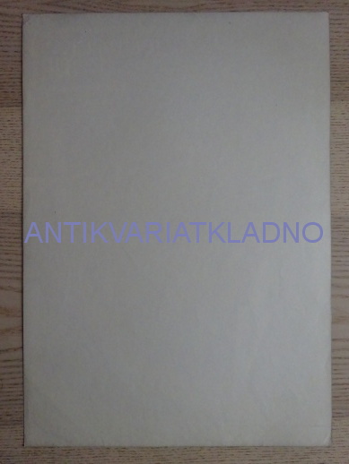 TURECKÉ KOPÍ, FILM HR, R: ZSURZS, PL: MRÁZEK, PLAKÁT 329