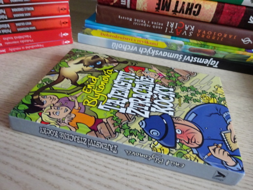 TAJEMSTVÍ ZTRACENÉ KOČKY, ENID BLYTONOVÁ, **an