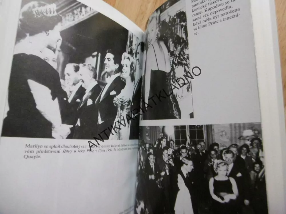 SKANDÁL JMÉNEM MARILYN, SANDRA SHEVEY, **an