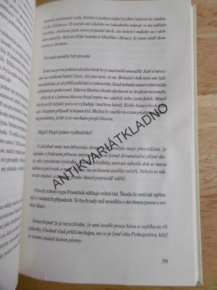DENÍK CITOVÉHO VYDĚRAČE, SIMONA MONYOVÁ