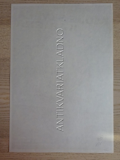 MOJE SKVĚLÁ KARIÉRA, FILM AUSTRÁLIE, R: ARMSTRONG, PL: DUCHOŇ, PLAKÁT 684