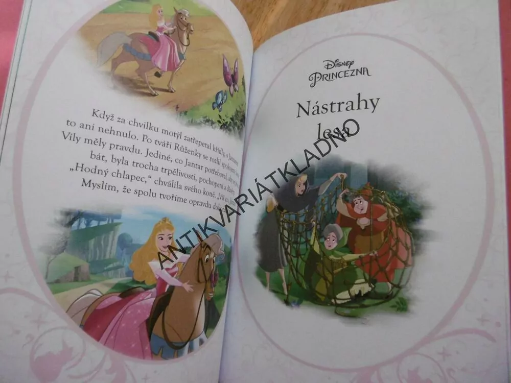 ŠÍPKOVÁ PRINCEZNA, DISNEY PRINCEZNA