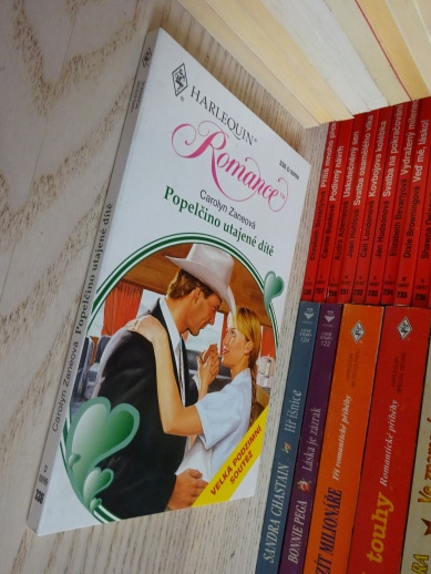 POPELČINO UTAJENÉ DÍTĚ, CAROLYN ZANEOVÁ, **an