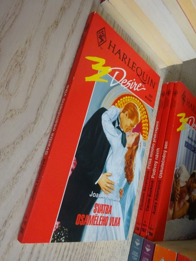 SVATBA OSAMĚLÉHO VLKA, JOAN HOHLOVÁ, **an