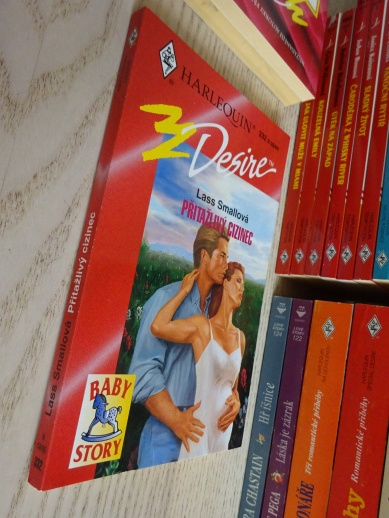 PŘITAŽLIVÝ CIZINEC, LASS SMALLOVÁ, **an