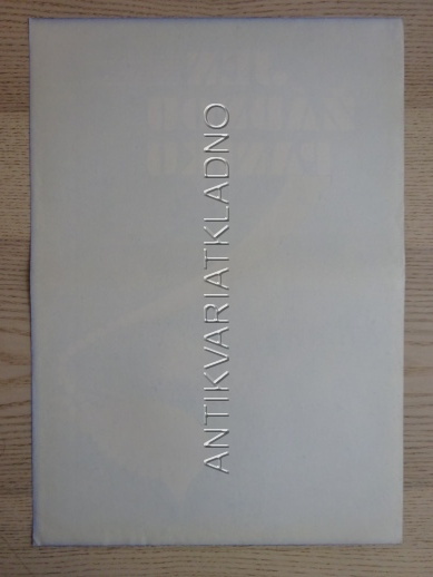 JEN ŽÁDNOU PANIKU, FILM HUN, R: SZONYI, PL: HEŘMANSKÁ, PLAKÁT 783