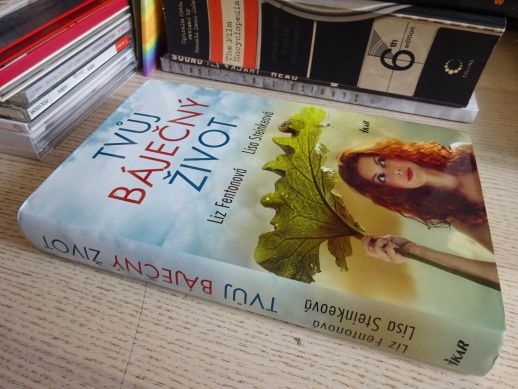 TVŮJ BÁJEČNÝ ŽIVOT, LIZ FENTONOVÁ, LIZ STEINKEOVÁ, **an