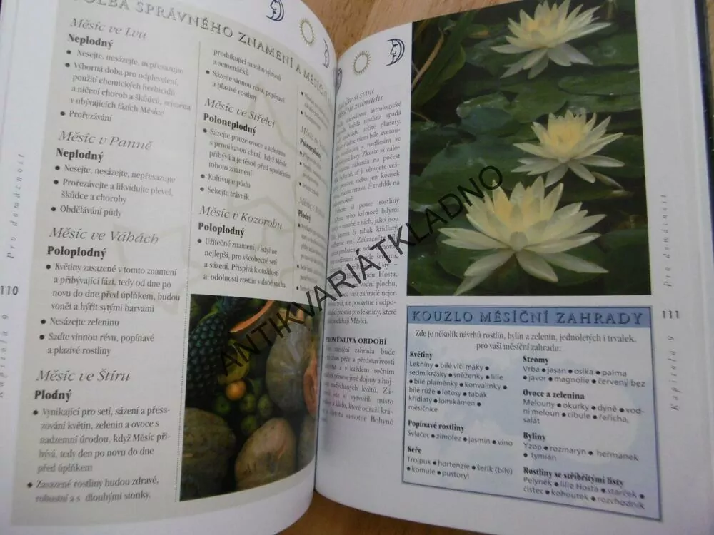 MAGICKÝ MĚSÍC, LORI REID, **an