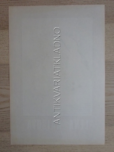 LENA RAISOVÁ, FILM NSR, R: RISCHERT, PL: PACÁK, PLAKÁT 870