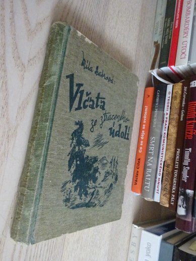 VLČATA ZE ZTRACENÉHO ÚDOLÍ, MILA HABROVÁ, **an