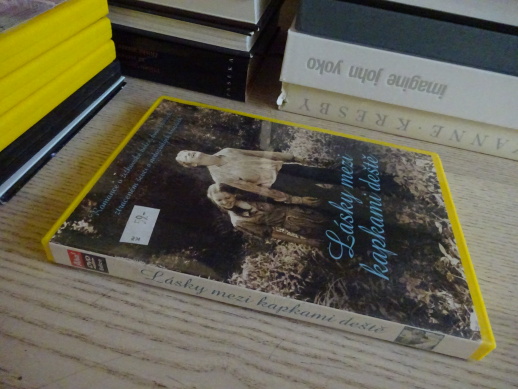 LÁSKY MEZI KAPKAMI DEŠTĚ, DVD FILM