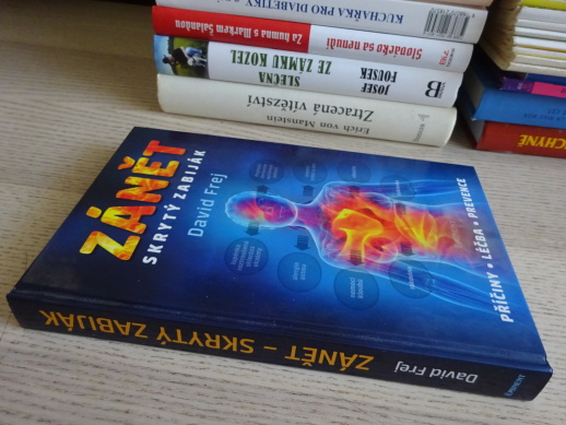 ZÁNĚT, SKRYTÝ ZABIJÁK, DAVID FREJ, **an