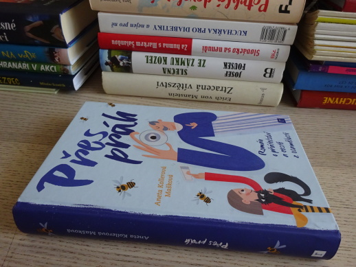PŘES PRÁH, ANETA KOLLEROVÁ MAŠKOVÁ, **an