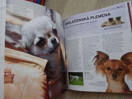 PLEMENA PSŮ, KIM DENNIS-BRYANOVÁ, TRACY MORGANOVÁ, **an