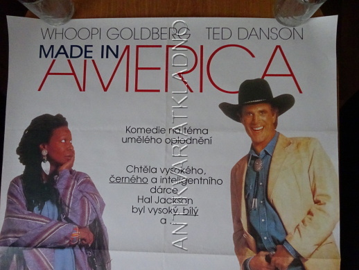 MADE IN AMERICA, WHOOPI GOLDBERG, PLAKÁT 26C